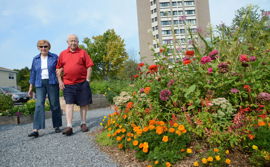 Elderly couple walking near gardens