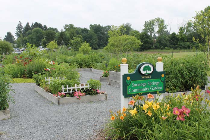 Garden and Sign