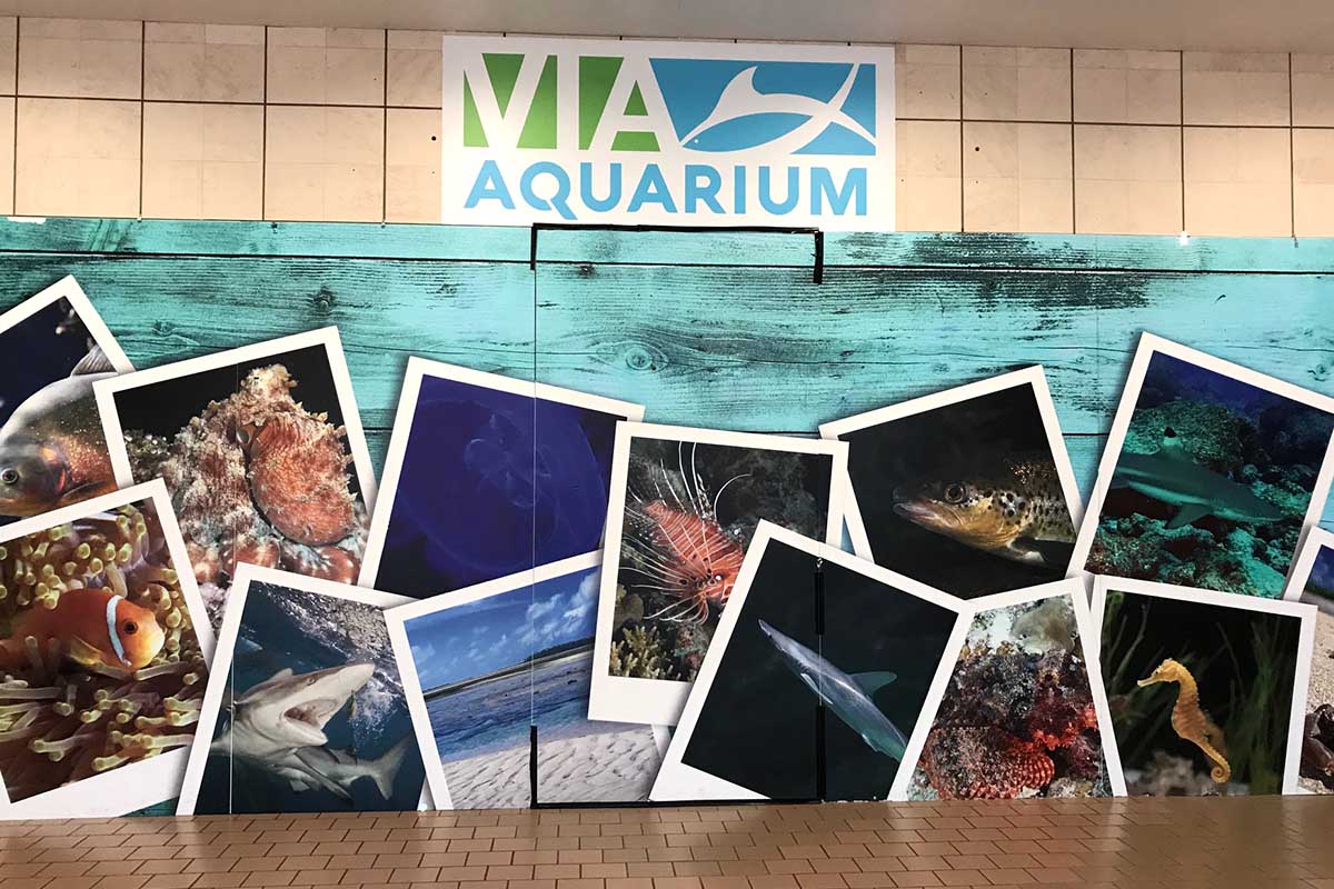 VIA Aquarium Wall Mural