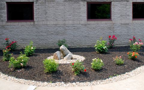 Rose garden with rocks in the center