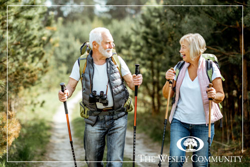 Happy senior couple hiking with trekking sticks and backpacks at the young pine forest. Enjoying nature, having a good time on their retirement