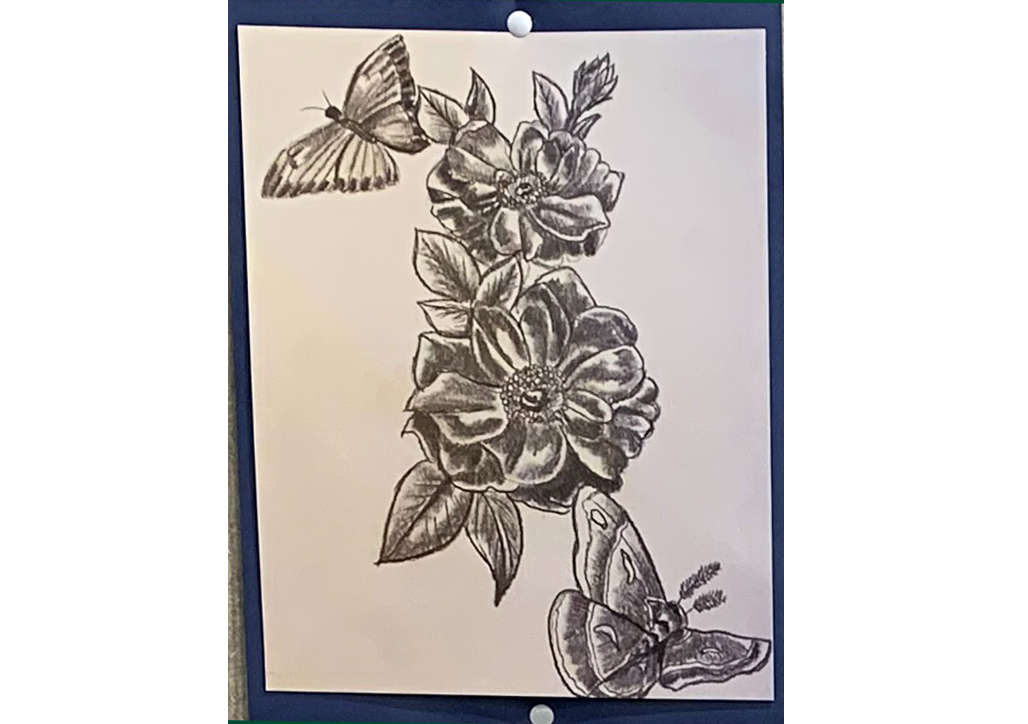 flowers and butterflies drawing