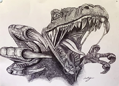 T rex Drawing