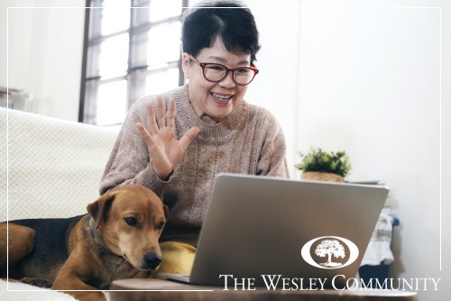 A woman and her dog sitting on a couch and video chatting.