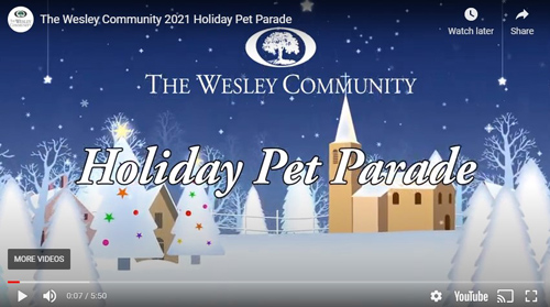 Holiday Pet Parade